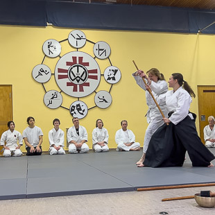 Dezember 2025:<br />Keiko mit Sonja